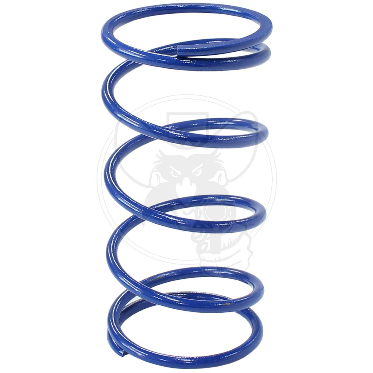 AEROFLOW WASTEGATE OUTER SPRING FROM 8.5 PSI (0.6 BAR) - BLUE