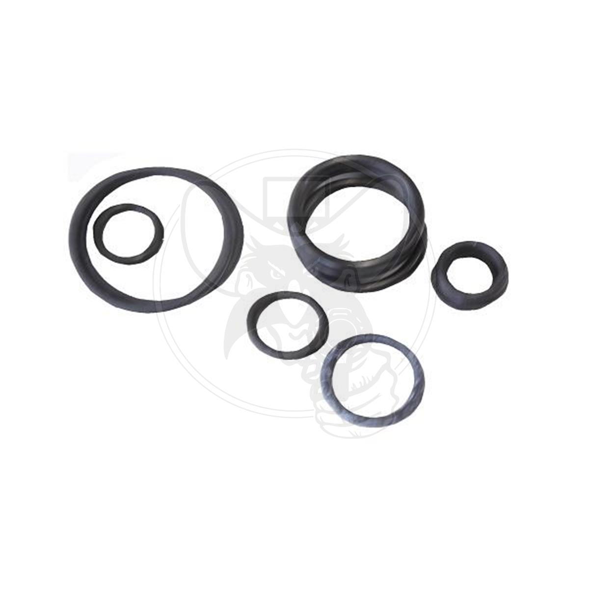 ENDERLE ORING KIT METHANOL B/VALVE