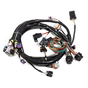 HOLLEY ENGINE MAIN HARNESS FOR HP EFI & DOMINATOR EFI Fits LS1/LS6