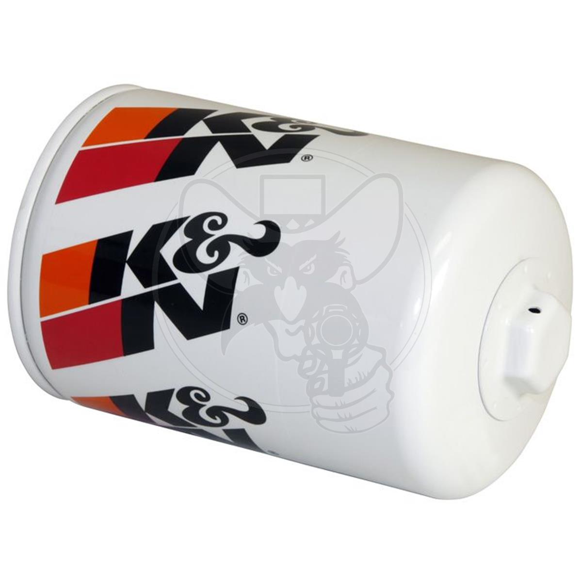 K&N OIL FILTER FITS FORD (LONG) Z9