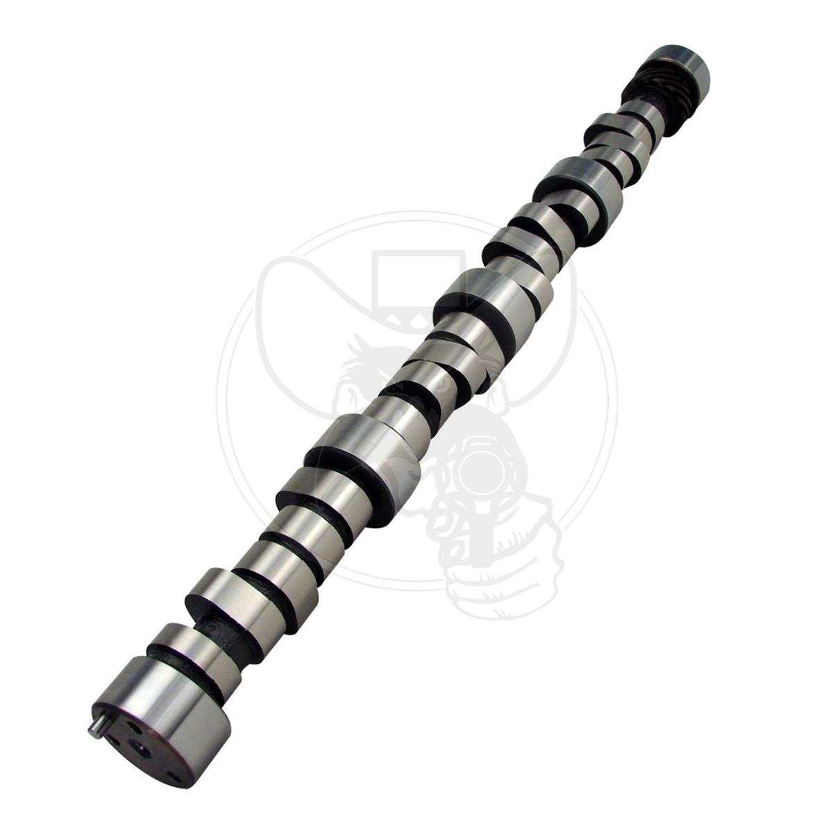 Lunati camshafts discount